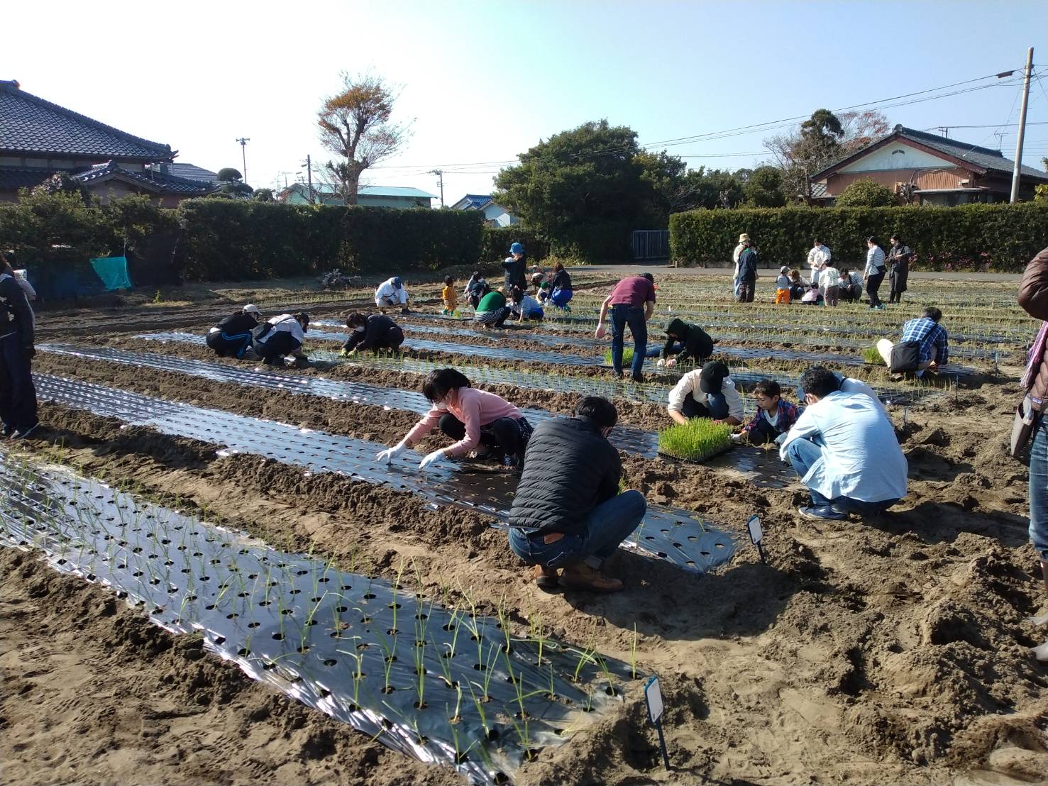 新農業体験企画を考案