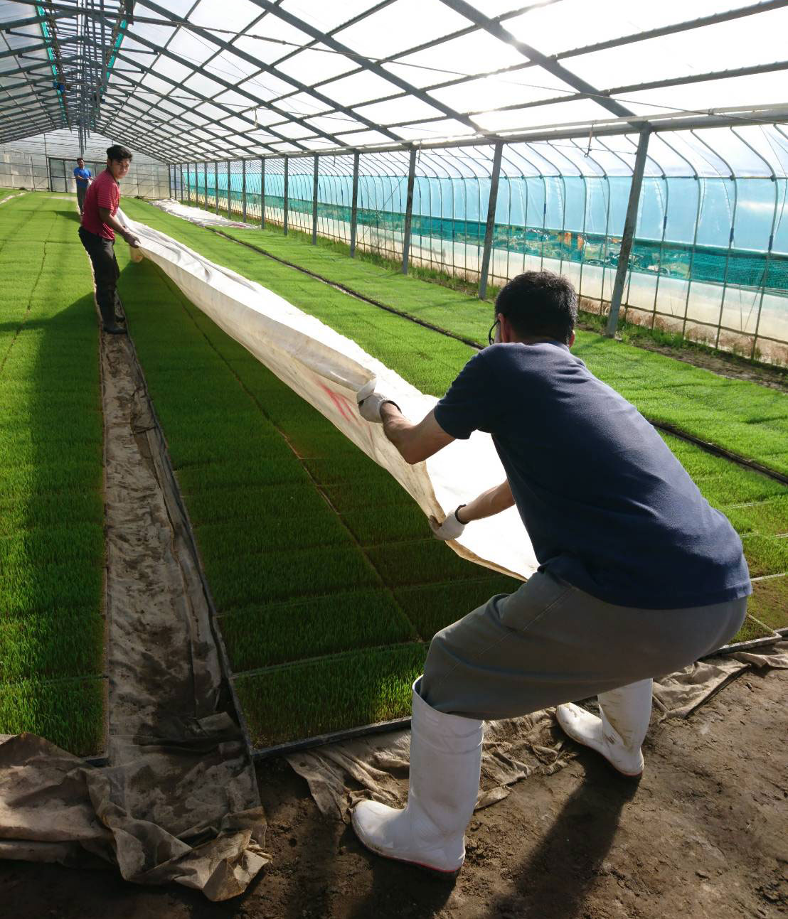 夫婦でボランティア09