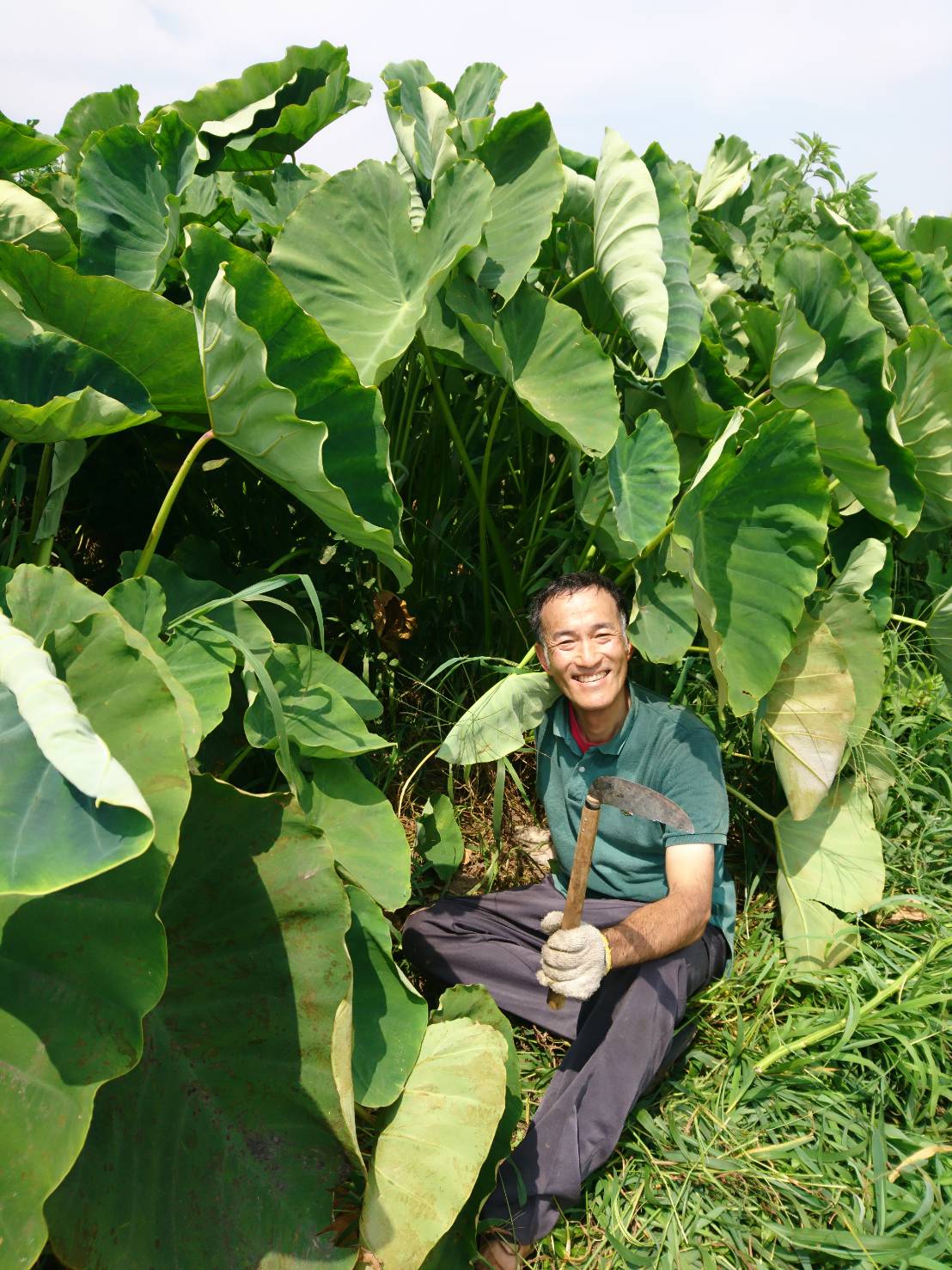 夫婦でボランティア05