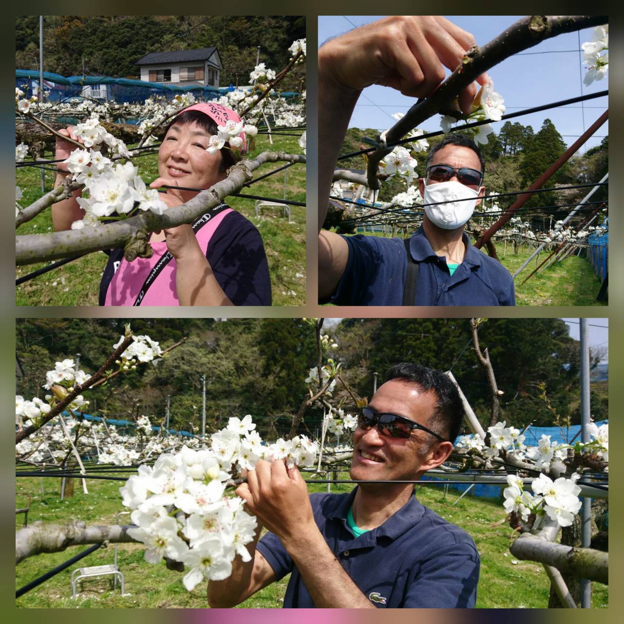 夫婦でボランティア05