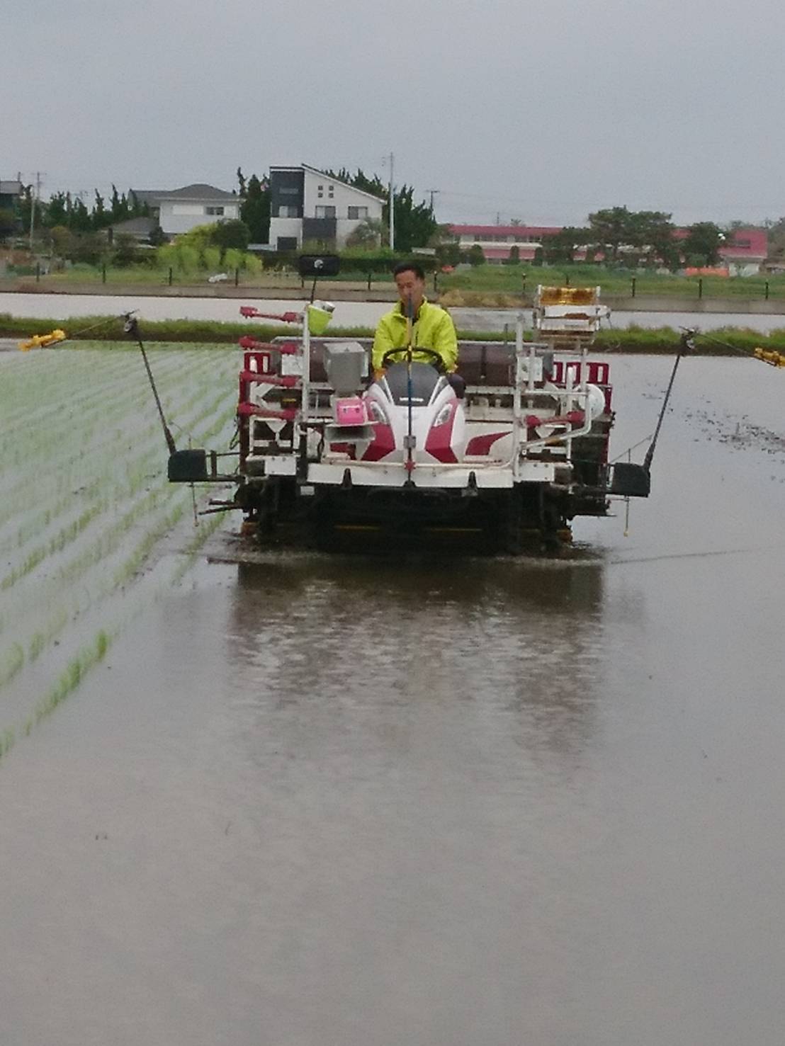 夫婦でボランティア08