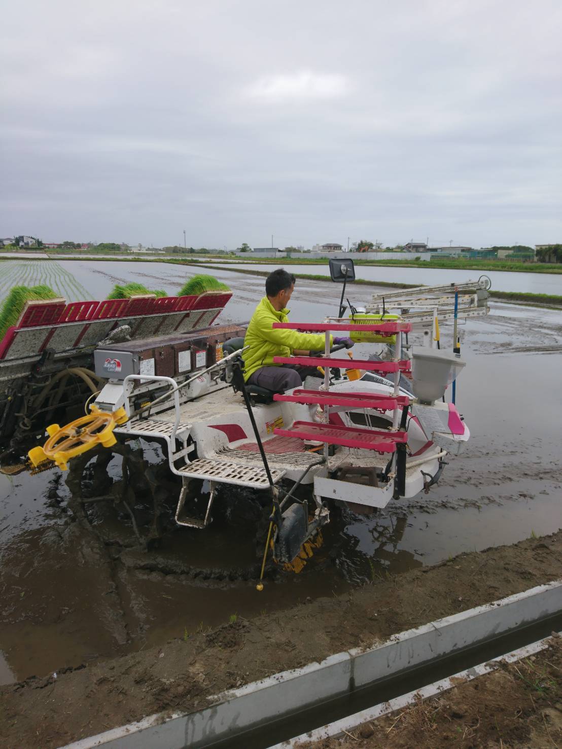 夫婦でボランティア04